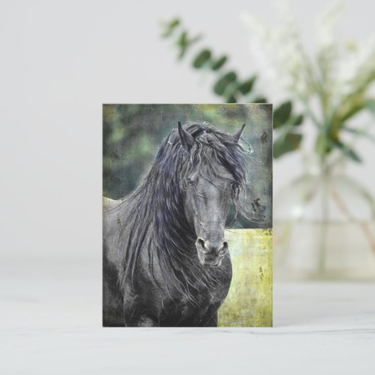 Friesian Stallion Briefkaart (Staand voorkant)