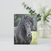 Friesian Stallion Briefkaart (Staand voorkant)