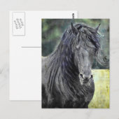 Friesian Stallion Briefkaart (Voorkant / Achterkant)