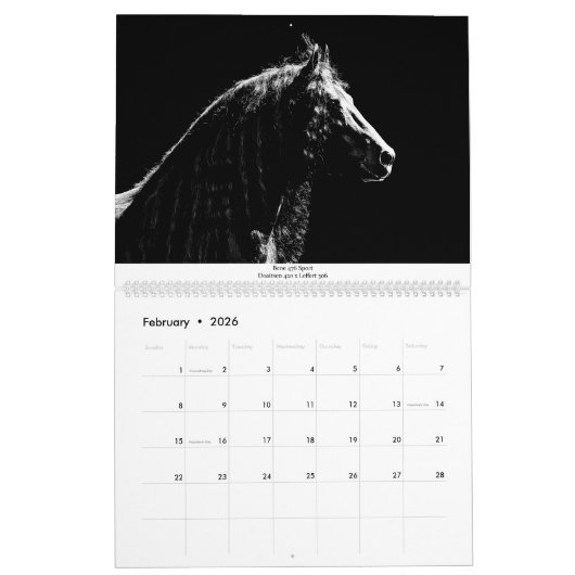 Friesian Stallion Calendar van momenten door Lori  Kalender (Feb 2026)