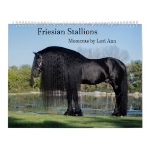 Friesian Stallion Calendar van momenten door Lori  Kalender