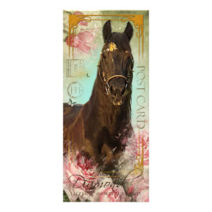 Friesian Stallion ~ Fan Card Reclamekaart