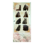 Friesian Stallion ~ Fan Card Reclamekaart (Achterkant)