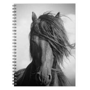 Friesian stallion in the wind. notitieboek