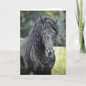 Friesian Stallion Kaart (Voorkant)
