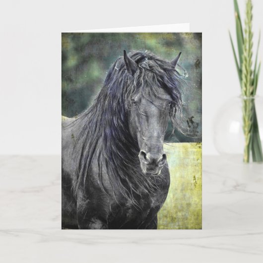 Friesian Stallion Kaart (Voorkant)