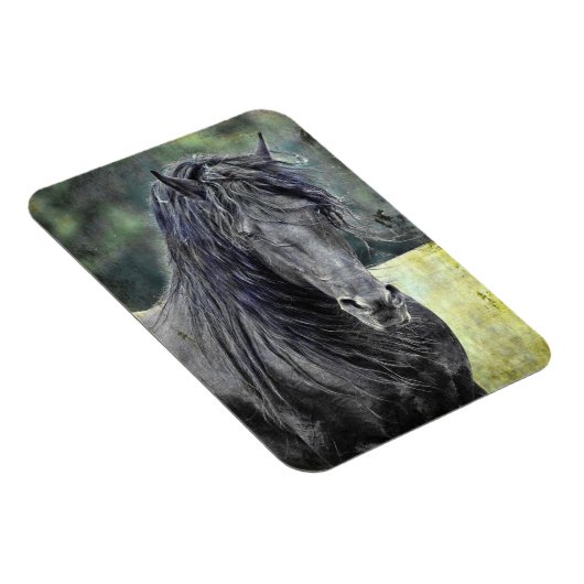 Friesian Stallion Magneet (Rechterzijde)