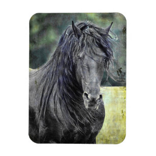 Friesian Stallion Magneet