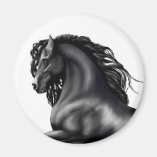 Friesian Stallion-paard Magneet