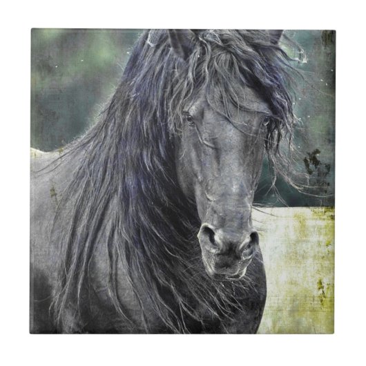 Friesian Stallion Tegeltje (Voorkant)