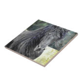 Friesian Stallion Tegeltje (Zijkant)