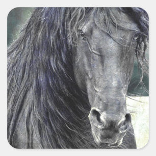 Friesian Stallion Vierkante Sticker