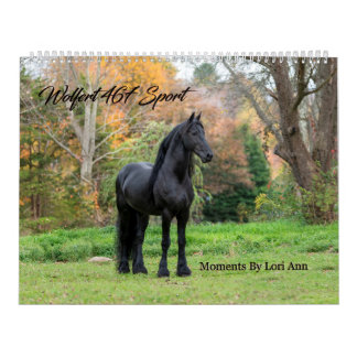 Friesian Stallion Wolfert 467 Sport Kalender