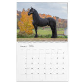 Friesian Stallion Wolfert 467 Sport Kalender (Jan 2026)