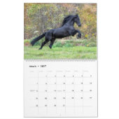 Friesian Stallion Wolfert 467 Sport Kalender (Mar 2027)