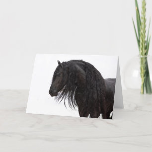 Friesian Stallions Holiday Card Feestdagen Kaart