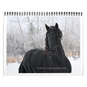 Friesian standaardgrootte van de Foto van het Kalender (Hoes)