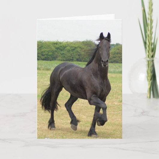Friesian Wenskaart van het Paard Kaart (Voorkant)