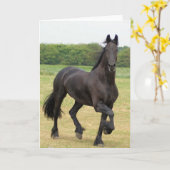 Friesian Wenskaart van het Paard Kaart (Gele Bloem)