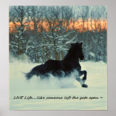 Friesian Winter Frolic Poster (Voorkant)