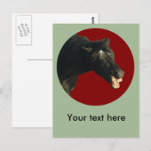 FriesianJoker#1 Briefkaart (Voorkant / Achterkant)