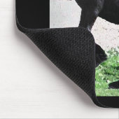Friesians Rock Mousepad Muismat (Hoek)