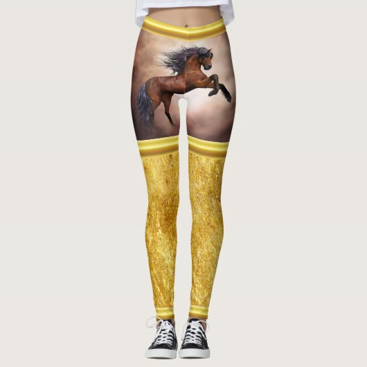 Friesisch bruin paard dat zich voortplant met slec leggings (Voorkant)