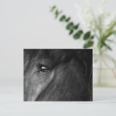 friesisch paard briefkaart (Staand voorkant)