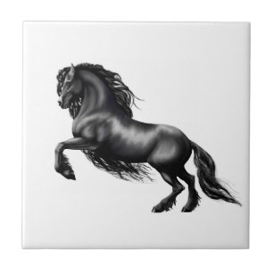 Friesisch paard, de zwarte schoonheid tegeltje