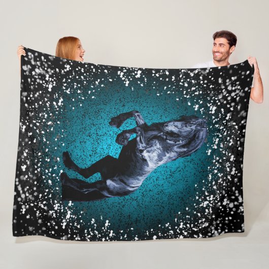 Friesisch paard, zwarte hengst, sneeuw, zilver/bla fleece deken (In situ)