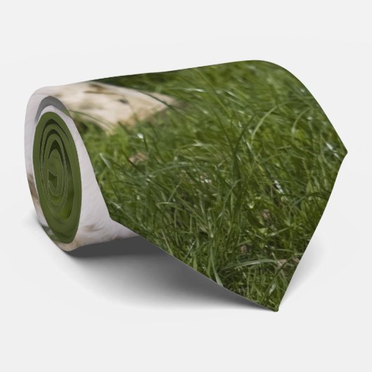 Frieskoe Stropdas (Opgerold)