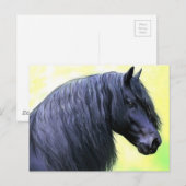 friespaard briefkaart (Voorkant / Achterkant)