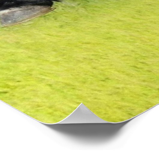 Friespaard Poster (Hoek)