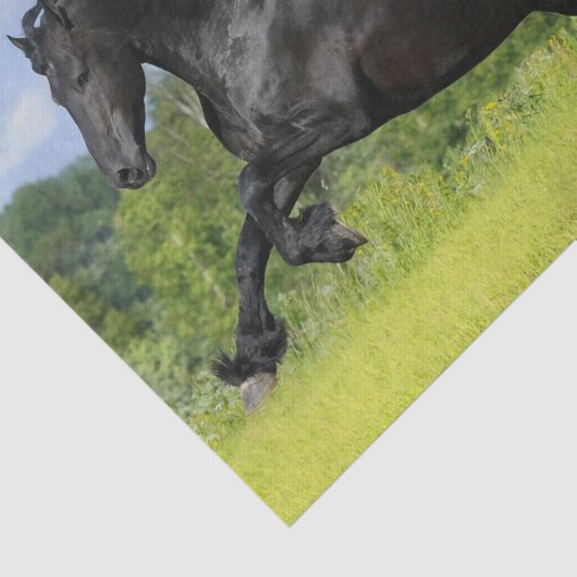 Friespaard Tissuepapier (Detail)