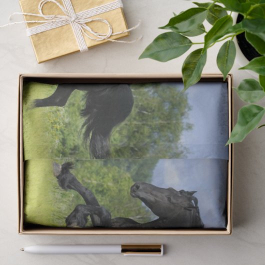 Friespaard Tissuepapier (Geschenk)