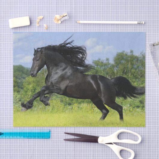 Friespaard Tissuepapier (Craft)