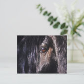 friesse paarden briefkaart (Staand voorkant)