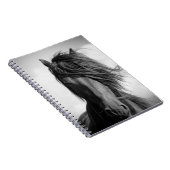 Friessische hengst in de wind. notitieboek (Rechterzijde)