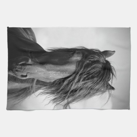 Friessische hengst in de wind. theedoek (Horizontaal)