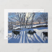 Friessische Koeien 2009 Briefkaart (Voorkant / Achterkant)