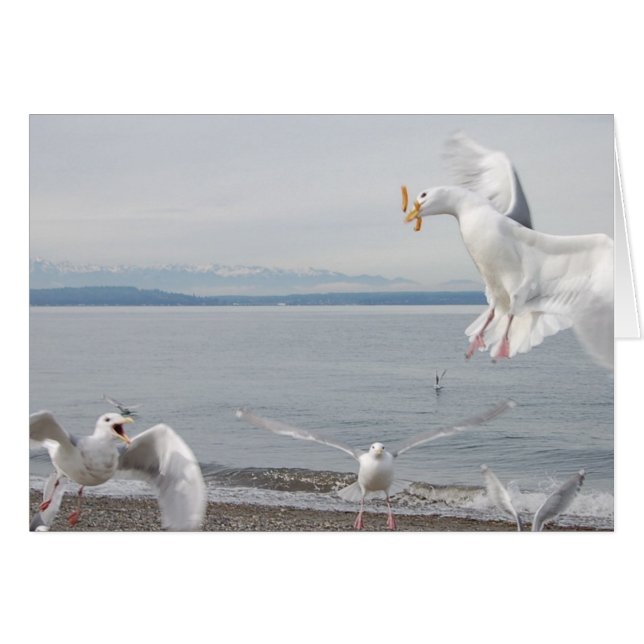 friet (Voorkant Horizontaal)