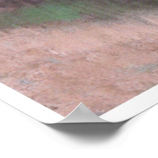 Frieze of Dancers., c. 1895, Edgar Degas Poster (Hoek)