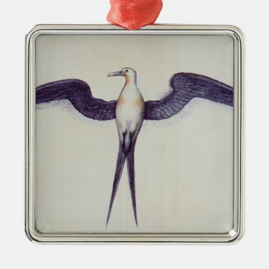 Frigate Bird Metalen Ornament (Voorkant)