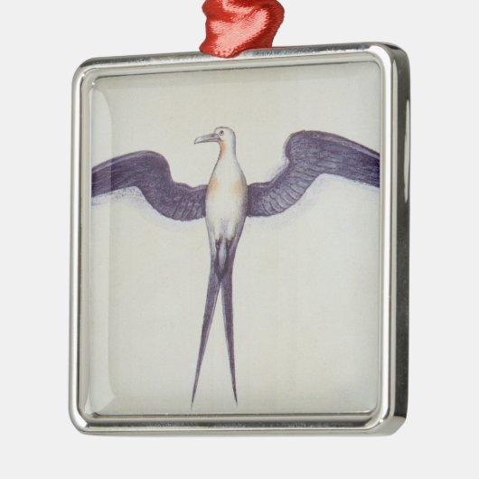 Frigate Bird Metalen Ornament (Links)