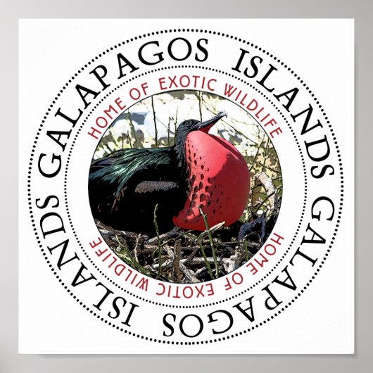Frigate Bird Poster (Voorkant)