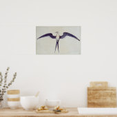 Frigate Bird Poster (Keuken)