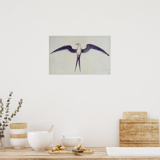 Frigate Bird Poster (Keuken)
