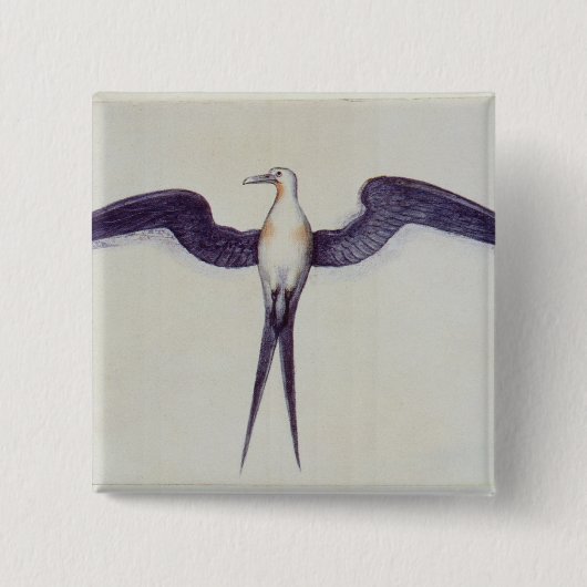 Frigate Bird Vierkante Button 5,1 Cm (Voorkant)
