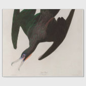 Frigate Pelican Birds of America Audubon Print Cadeaupapier (Vlak)