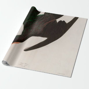 Frigate Pelican Birds of America Audubon Print Cadeaupapier